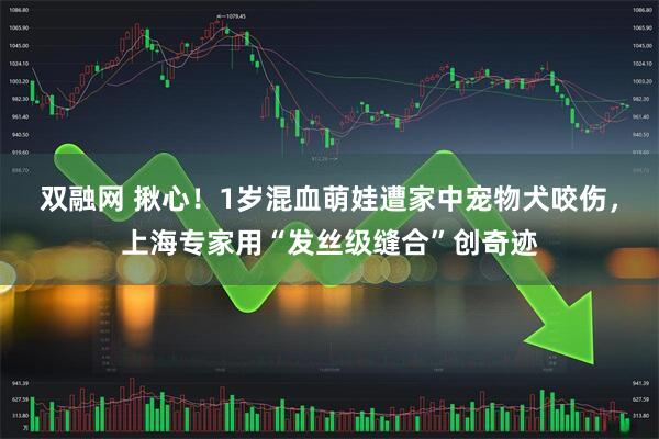 双融网 揪心！1岁混血萌娃遭家中宠物犬咬伤，上海专家用“发丝级缝合”创奇迹