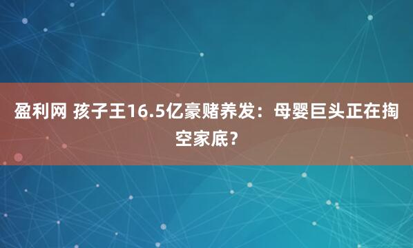 盈利网 孩子王16.5亿豪赌养发：母婴巨头正在掏空家底？