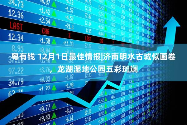 粤有钱 12月1日最佳情报|济南明水古城似画卷,龙湖湿地公园五彩斑斓