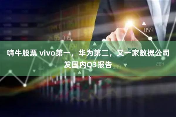 嗨牛股票 vivo第一，华为第二，又一家数据公司发国内Q3报告