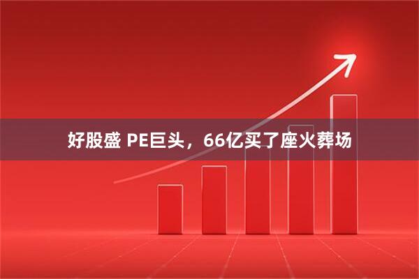 好股盛 PE巨头,66亿买了座火葬场
