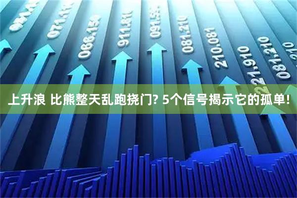 上升浪 比熊整天乱跑挠门? 5个信号揭示它的孤单!