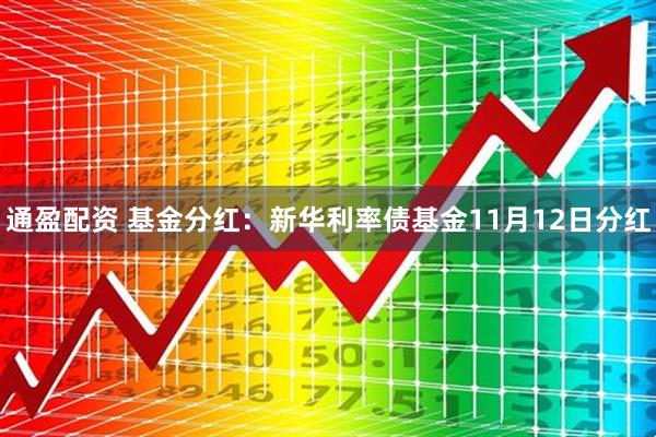 通盈配资 基金分红:新华利率债基金11月12日分红